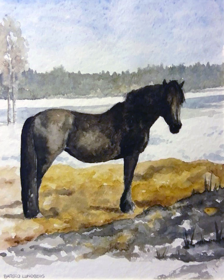 Häst – akvarell av Barbro Lundberg